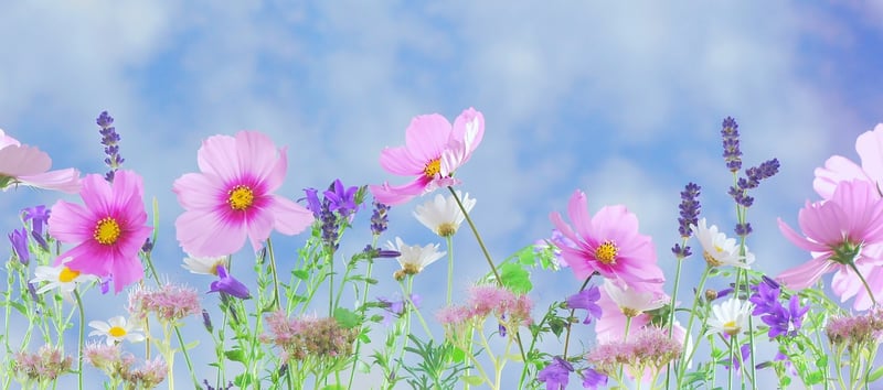 Whimsical Garden