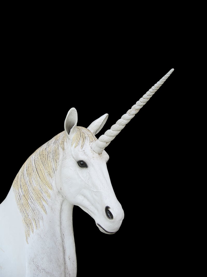 Unicorn Sanctuary